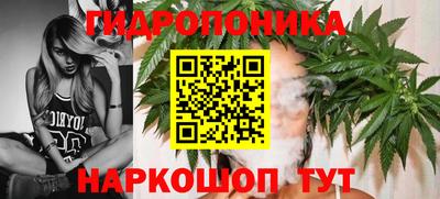 стафф Обь