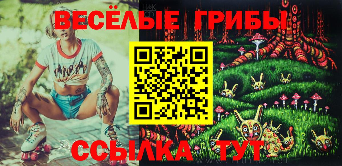 Галлюциногенные грибы ЛСД  Галлюциногенные грибы MAGIC MUSHROOMS  Аксай  где можно купить   Вход с VPN 